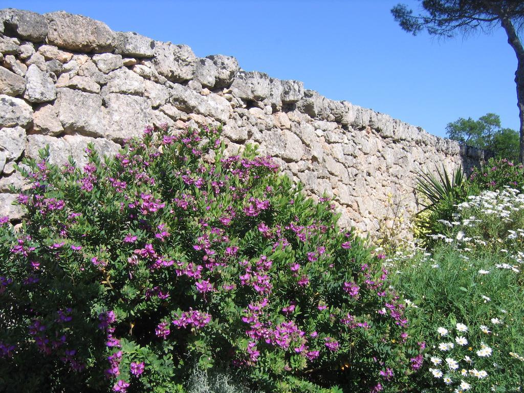 Masseria Pagani Nardò Exteriér fotografie