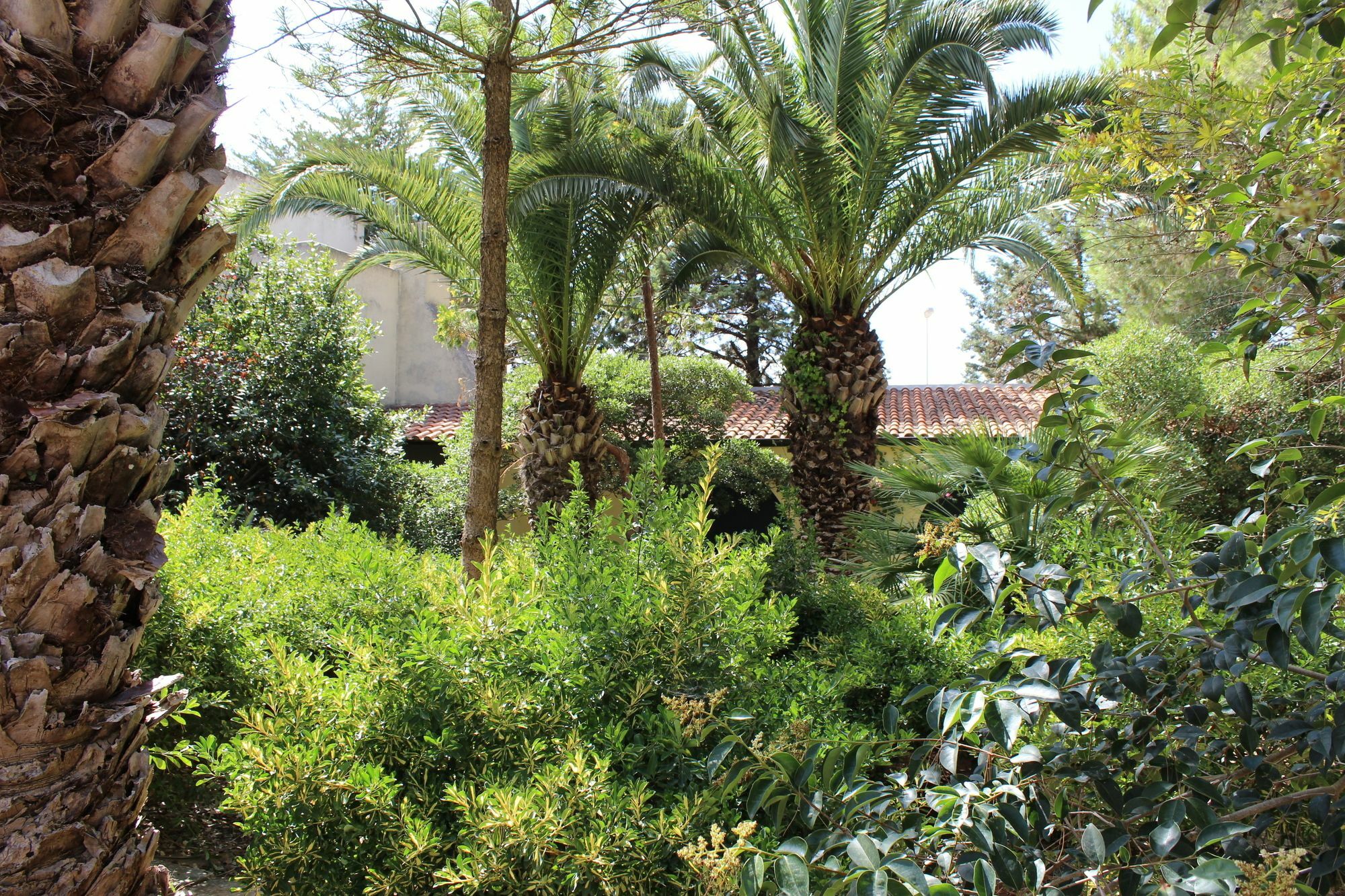 Masseria Pagani Nardò Exteriér fotografie